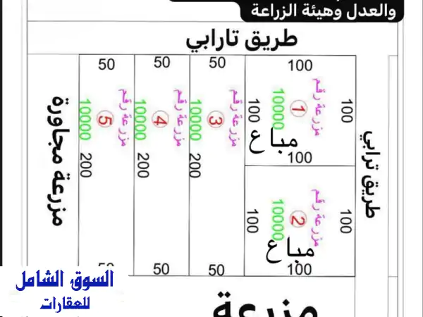 مزارع للبيع بالعبدلي قطعة 5: فرصتك لامتلاك 10,000م²...