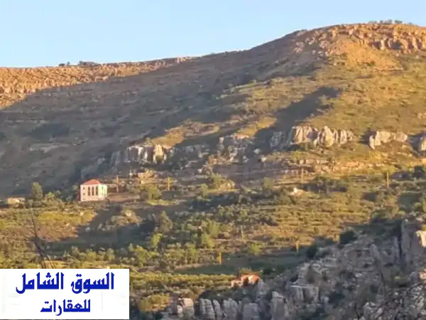 عقار مميز للبيع في تنورين الفوقا مساحته 3650م 2...