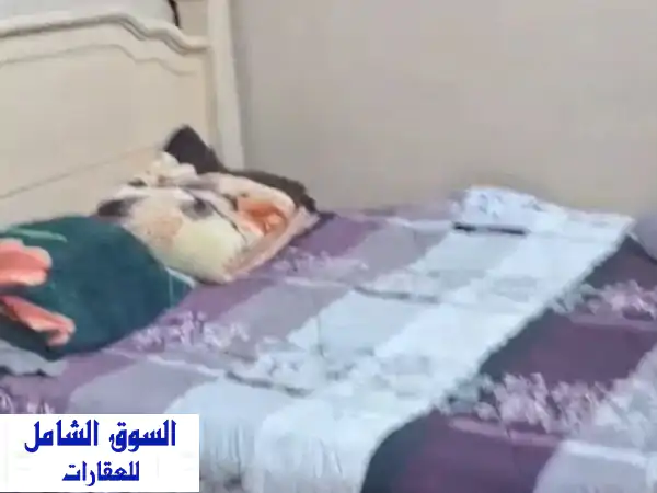 فرصة ذهبية! استوديو مفروش شامل للإيجار في الرفاع |...