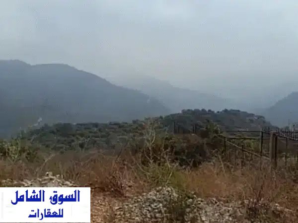 فرصة ذهبية بالدبية: أرض 1393م² بإطلالة أبدية ومسطحة! (سعر نهائي $400,000)