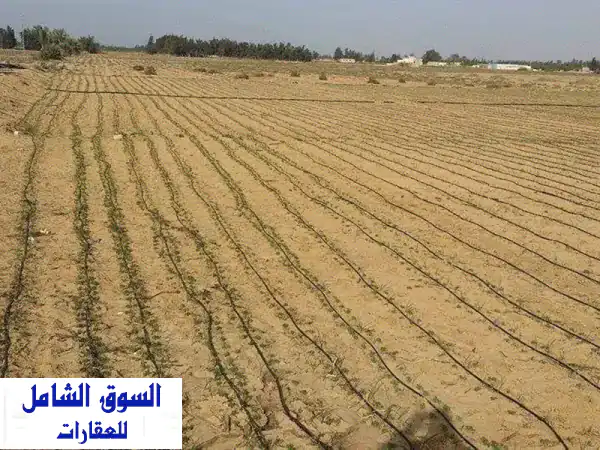 فرصة ذهبية: 70 فدان للبيع بالكيلو 75 طريق...