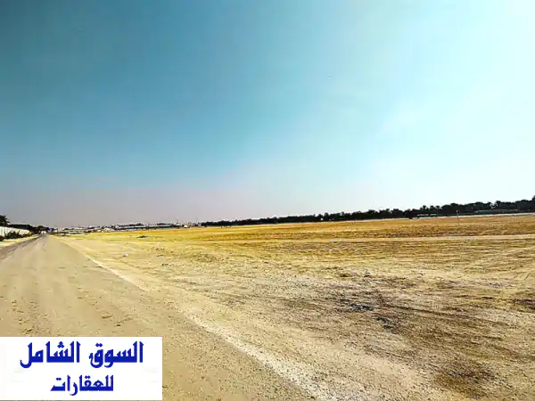 فرصة لا تعوض! أرض استراتيجية للإيجار في دمستان قرب البحر 🌊 600 فلس/م² فقط!