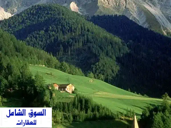 فيلا للبيع بالدسمة، قطعة 1، 500م زاوية | فرصة...