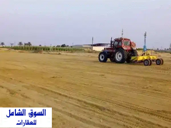 للبيع 8 فدان ملك تبع العلمين. مدينة مرسى مطروح،...