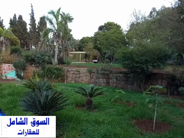 Nature