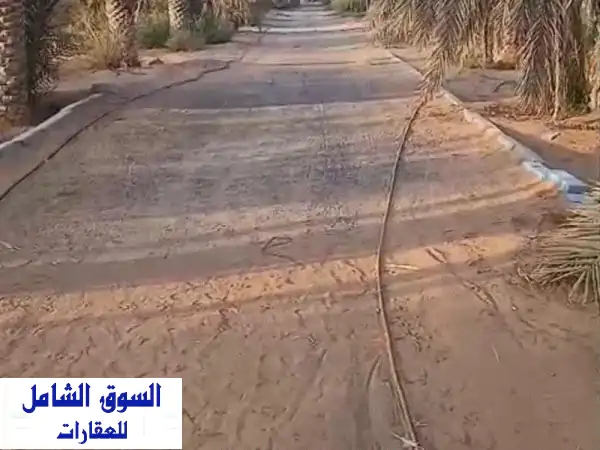فرصة ذهبية: مزرعة أحلامك في العين، الوقن VIP | 350...