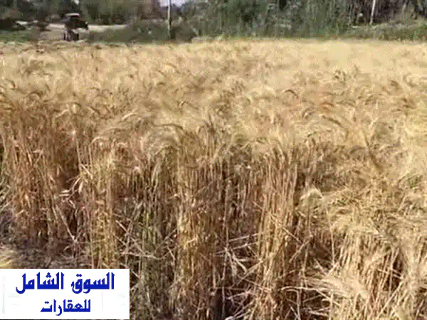 فرصة استثمارية ذهبية: مزرعة 15 فدان للبيع على...