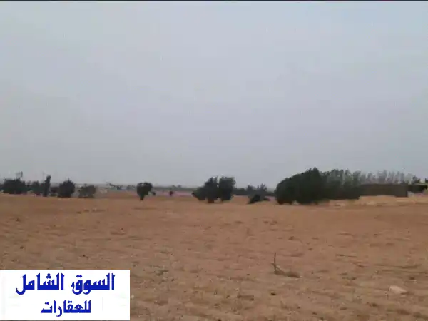 فرصة استثمارية ذهبية! 6 فدان للبيع مباشرة على...