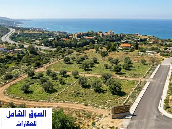 فرصة نادرة: أرض استثمارية 6500م² بمشروع الحريري بلمند...