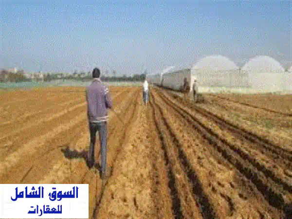 للبيع 3 فدان ونصف في السويس، جمعية الزراعيين، ماء...