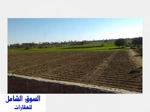 فرصة استثمارية ذهبية: مزرعة 105 فدان متكاملة بالبحيرة...