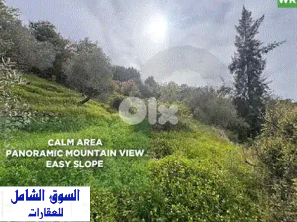 أرض الأحلام في البربارة: 1800م بإطلالة بحرية بانورامية لا تُحجب | موقع استراتيجي ومميز 30/75