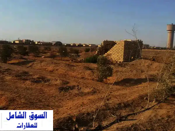 أرض مستصلحة 4 فدان للبيع في السويس، شندورة مرحلة 2، ماء وكهرباء حكومي حيازة زراعية لصرف المستحقات ...