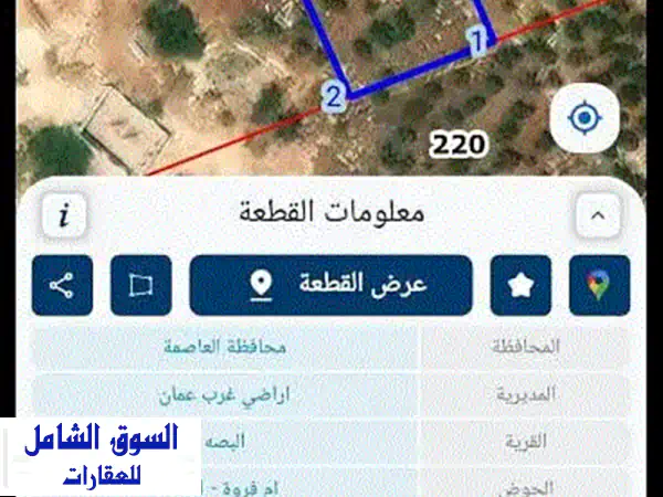 فرصة استثنائية: أرض 1446م بإطلالة خلابة بجانب قصر...