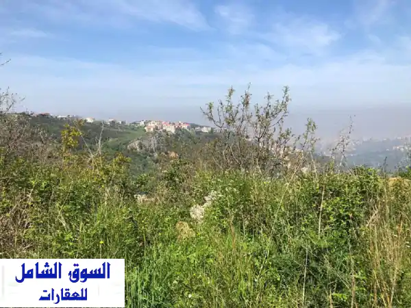 فرصة استثمارية نادرة: أرض 12317م² للبيع في شويت،...