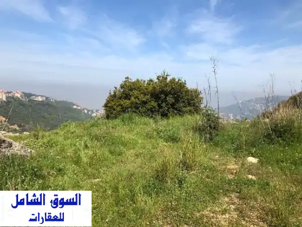 فرصة استثمارية نادرة: أرض 12317م² للبيع في شويت، قضاء بعبدا - موقع كاشف وتصنيف 25/50