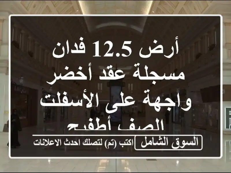 أرض 12.5 فدان مسجلة عقد أخضر واجهة على الأسفلت...