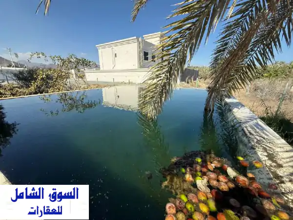 فرصة ذهبية بالفجيرة: مزرعة جاهزة للبيع 105 ألف قدم |...