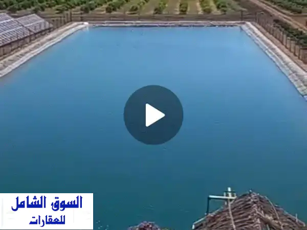 بيع مزرعة كبيرة في المغرب 137 هكتار فيه أشجار الحامض وجميع أنواع البرتقال وأشجار الزيتون وفيلا فخمة ...