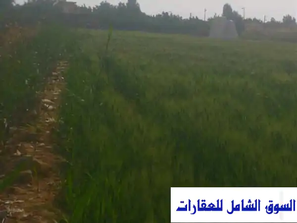 فرصة استثمارية ذهبية: أرض زراعية طينية 72 قيراط...