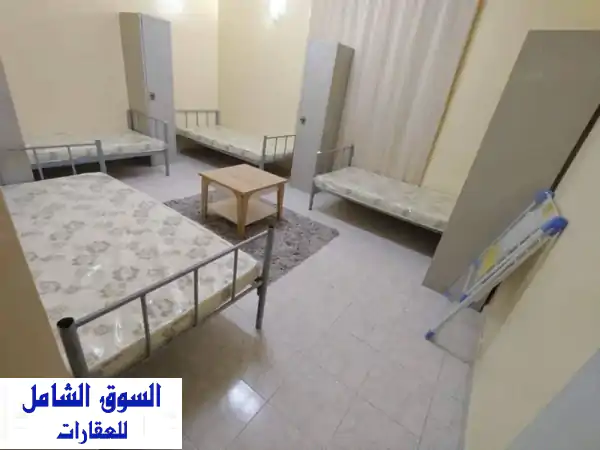 متاح سراير شباب داخل غرفة رباعية في سكن شباب...