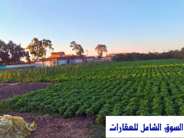فرصة ارض للاستثمار الزراعي بالمنوفية ساعة من الطريق الدائرى و القاهرة قريبة الطرق الرئيسية ري نيل للبيع في أشمون المنوفية