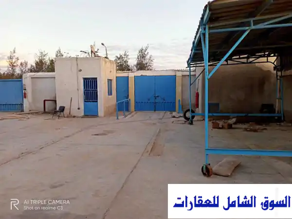 مصنع إيجار ببرج العرب 4600 متر جمالون 2400 للإيجار في...