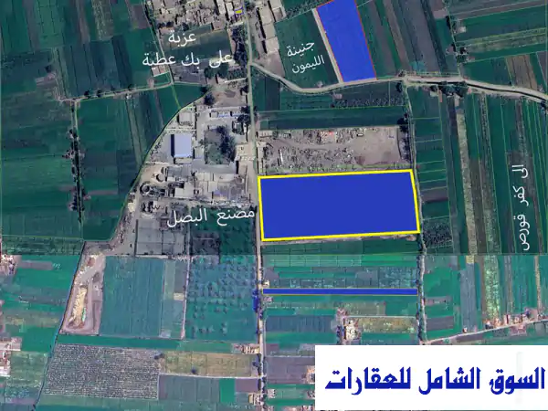 فرصة ارض للاستثمار الزراعي بالمنوفية ساعة من...