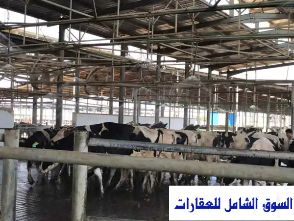 فرصة العمر للمستثمرين: مزرعة إنتاج حيواني...