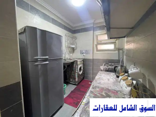 شقة فندقية مفروشة للإيجار اليومي على النيل مباشر مفروش في المنيل القاهرة