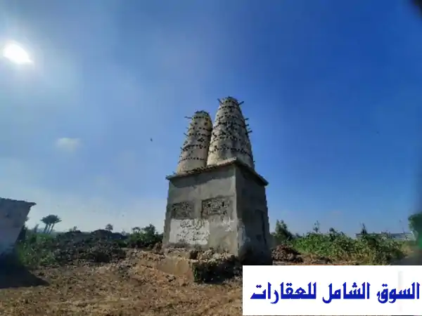 فرصة استثمار زراعي ذهبية: أرض زراعية خصبة 38...
