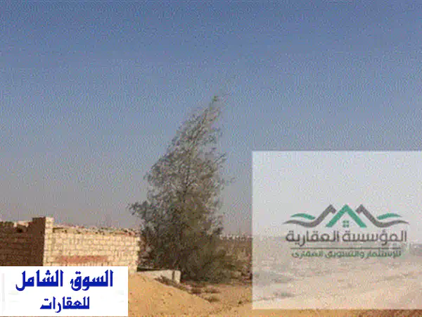 للبيع فدان ألا ربع (3150 م)  الحزام الاخضر  حوض 8  واجهه بعرض 31 م  مقنن  قريب من وصله دهشور .