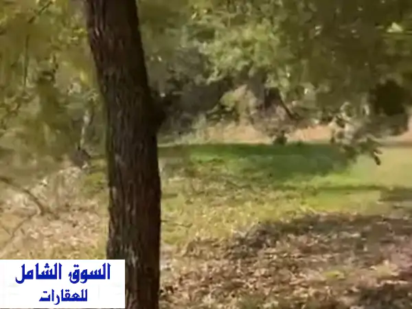 فرصة العمر: قصر فاخر (فيلا) للبيع في الشوف قرب قصر موسى – تصميم ملكي وسعر لا يُصدق!