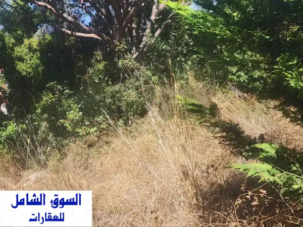 Land for rent in mkalless highway أرض للإيجار – أوتوستراد...
