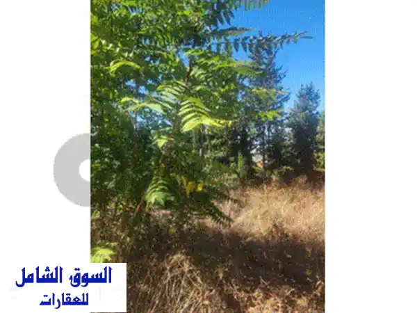 Land for rent in mkalless highway أرض للإيجار – أوتوستراد المكلّس المنصورية  Lands for Rent  116904249