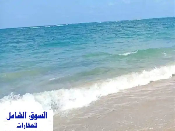 ادفع 250 الف فى الزراعيين ك 21 ثانى نمرة من البحر