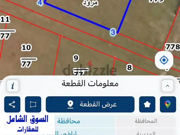 فرصة استثمارية و سكنية نادرة: أرض 2 دونم على سور...