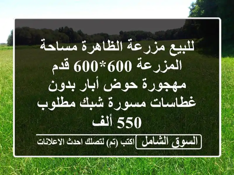 للبيع مزرعة الظاهرة مساحة المزرعة 600*600 قدم مهجورة...