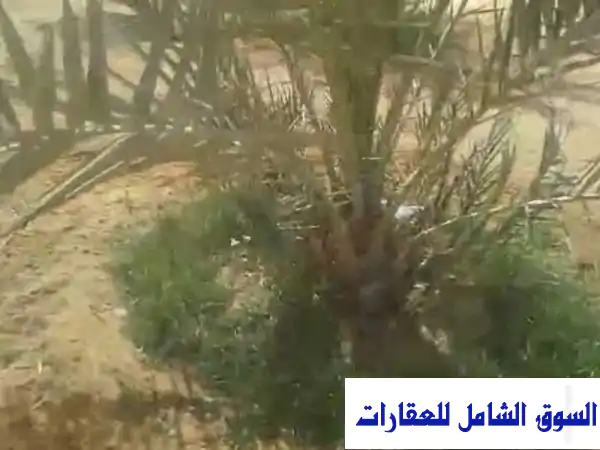 للبيع 15 فدان في قرية الحارة الواحات البحرية الجيزة