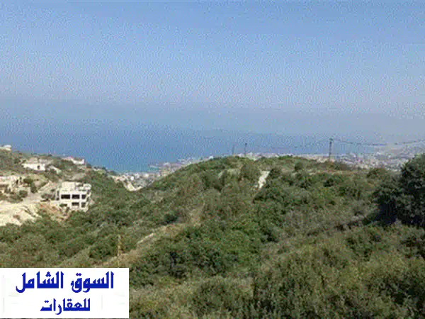 أرض للبيع في جبيل (عاليتا) | 920م² بسعر 300,000$ كاش | فرصة استثمارية وسكنية مميزة!