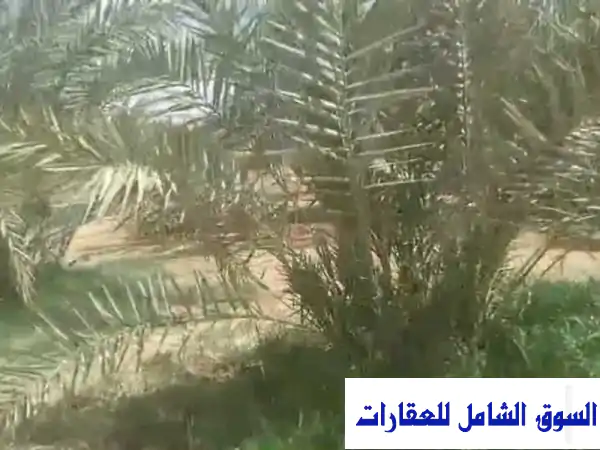 للبيع 15 فدان في قرية الحارة الواحات البحرية الجيزة