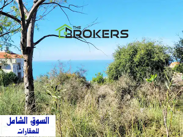 أرض للبيع في جبيل (عاليتا) | 920م² بسعر 300,000$ كاش |...