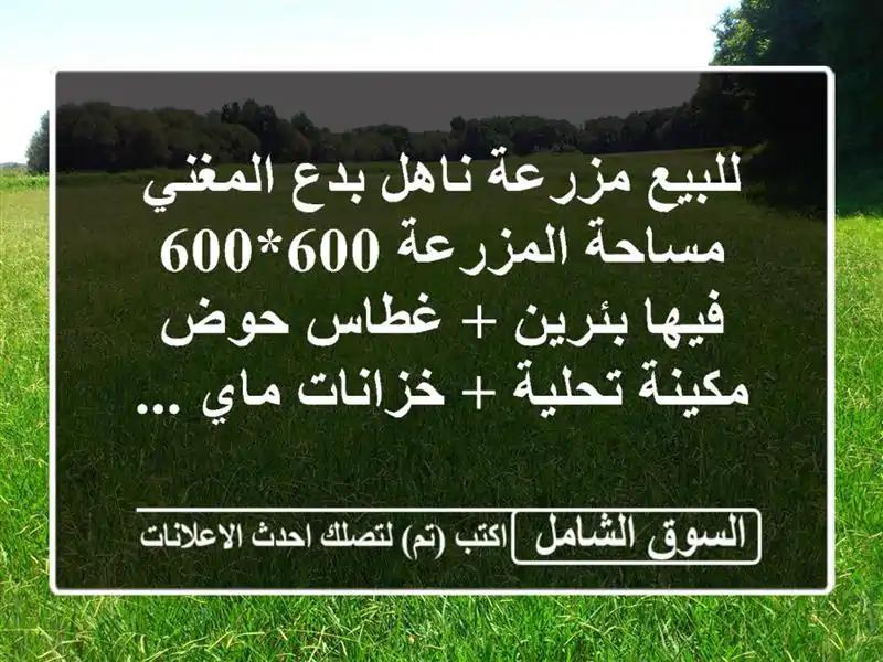 للبيع مزرعة ناهل بدع المغني مساحة المزرعة 600*600...