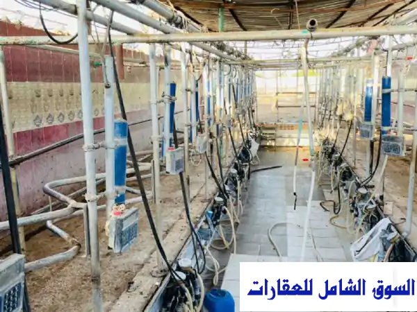 5 فدان بالاسماعيلية بالقرب من الصالحية الجديدة للبيع في أبوصوير الإسماعيلية