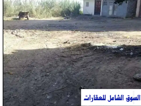 اخر قطعة ارض ترخيص مباني رسمي بجانب جمصة 800 متر مربع تصلح لعمل مشاريع سكنية أو تجارية بالمنصورة تقسيط للبيع في جمصه الدقهلية