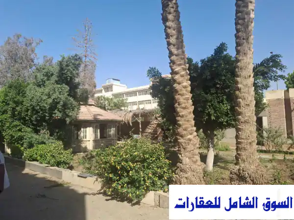مصنع للإيجار نشاط موبيليا في المنطقة الصناعية 6 أكتوبر