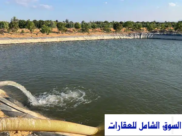 فرصة العمر! أرض زراعية 7.5 فدان مانجو وزيتون للبيع بالشلوفة السويس - ري خاص وموقع استثماري