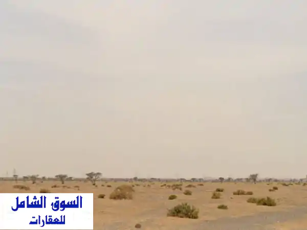 أرض زاوية سكنية للبيع في المطرق، ضاحية...