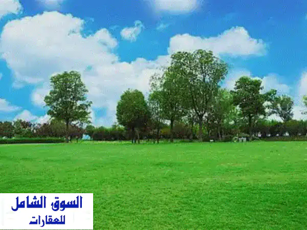 فرصة استثمارية ذهبية: أرض 650م للبيع في الجبيهة، حوض...