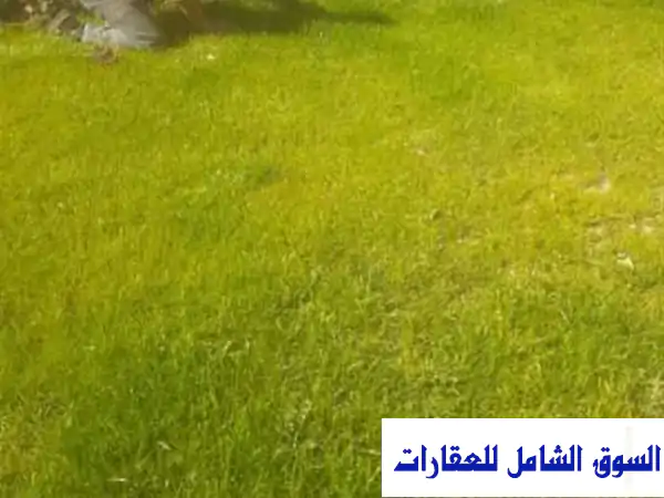 واحتك الخاصة: استوديو مفروش فندقي بجاردن بميفيدا التجمع الخامس - دور أرضي